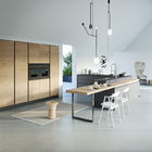Modern Design Customized Furniture Kitchen Room Modular Kitchen Cabinets